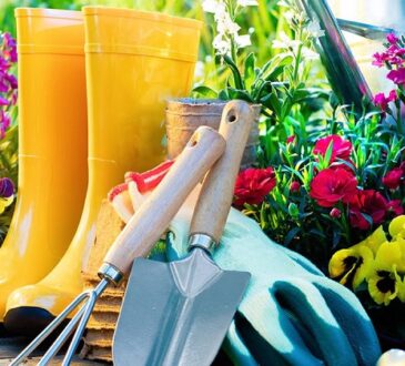 Comment bien choisir son matériel de jardinage 